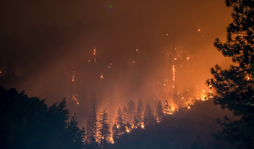 Prevenzione Incendi Boschivi